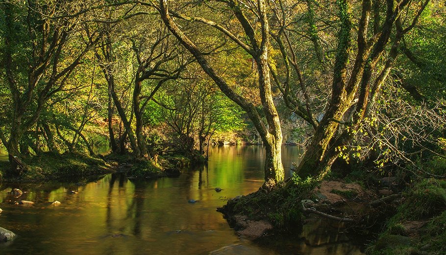 Spitchwick Common on Dartmoor soaking up the Autumn light. Autumn is the perfect time to explore Dartmoor, as the heather comes into flower and the leaves fall in bronze cascades. Why not plan your next adventure by clicking here: bit.ly/2nOWr5m
#VisitDevon #Autumn