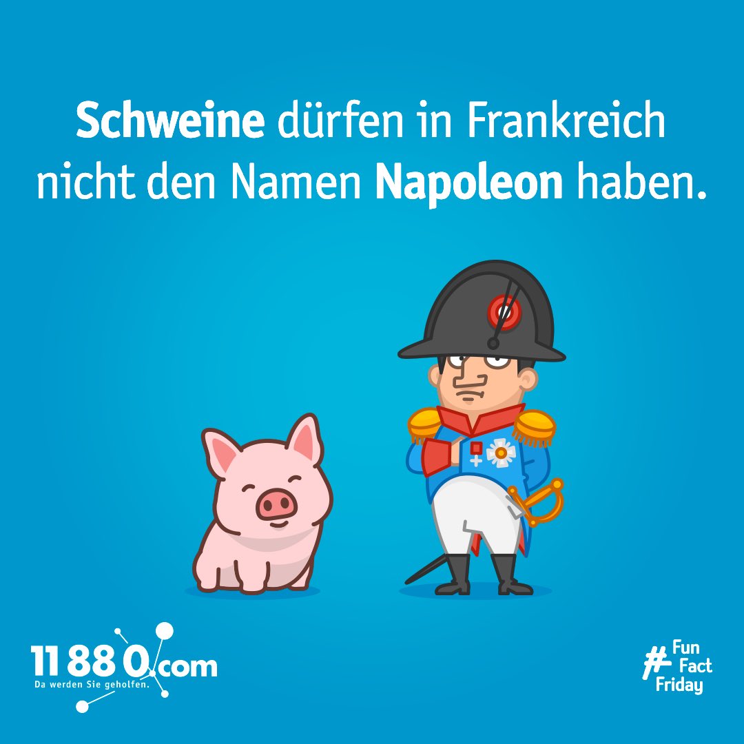 11880com's tweet photo. #funfactfriday #dawerdensiegeholfen #11880com #Napoleon #Frankreich #Hausschwein #Schwein #Tiername #Namensgebung #faktenfreitag #interestingfacts #truefacts #fridayfacts #didyouknowfacts #funfacts https://t.co/sMEIXCe7mZ