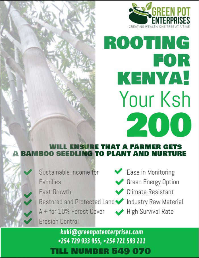 Green Pot Enterprises Ltd tweet media