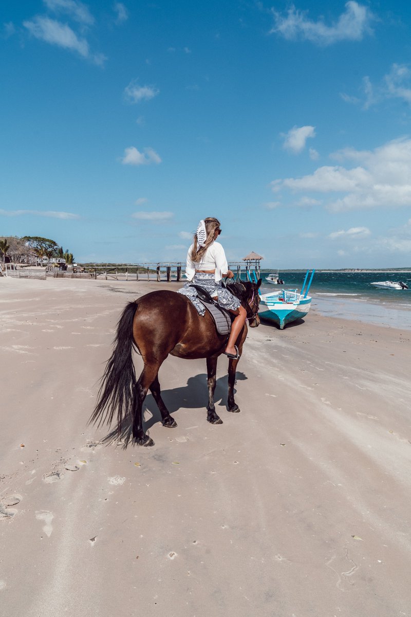 LegendResorts's tweet photo. Discover paradise on the East African seaboard. The award-winning Dugong Beach Lodge is situated along the Southern Mozambique Coast, within 30 000 hectares of pristine marine and wildlife territory, in the Vilanculos Coastal &amp; Wildlife Sanctuary. https://t.co/uA94TtI3Gn