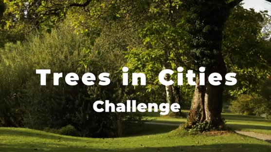 Compartimos el vídeo: Trees in cities challenge, una iniciativa cuy objetivo es combatir el cambio climático y generar un urbanismo más sostenible y resiliente comunidadism.es/video/trees-in… #comism #urbanismosostebible #arboladourbano #treesincitieschallenge