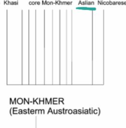 Of these three groups, only the Proto-Malays speak Austronesian languages. The Semang and Senoi languages come from the Aslian branch of the Austroasiatic family, to which Khmer and Vietnamese belong