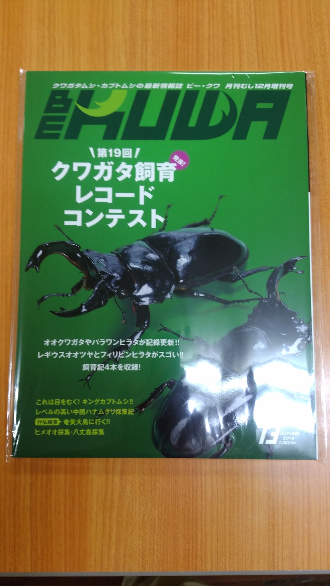 日本のクワガタムシ ポケット図鑑