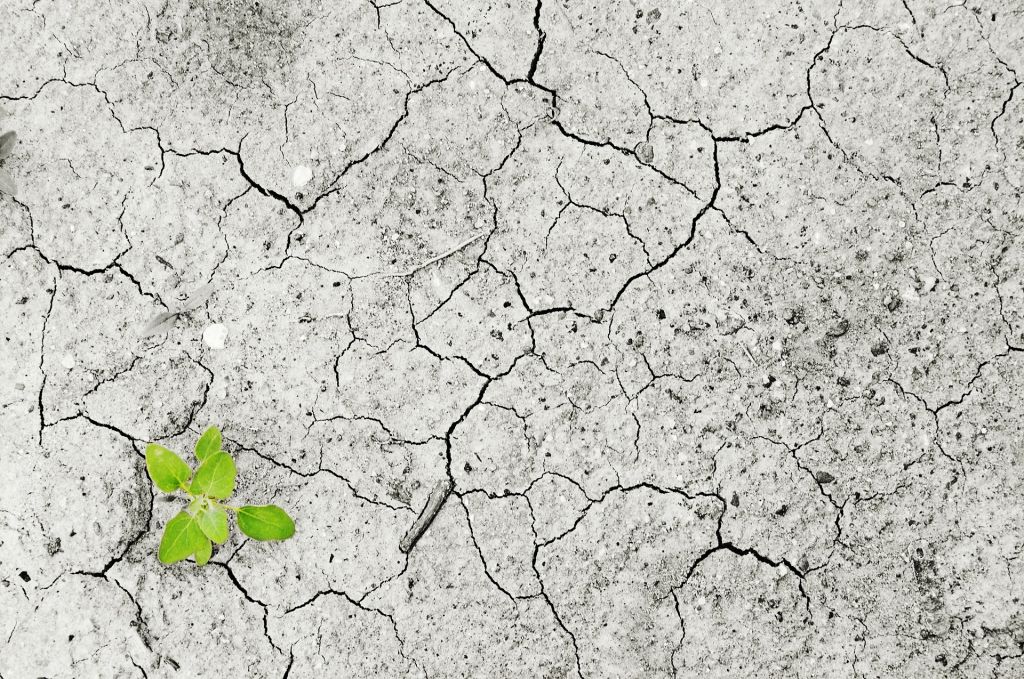 Die globale Erderwärmung wird unser Leben auf der Erde dramatisch verändern. Wir zeigen, welche Auswirkungen der Klimawandel auf unsere Gesundheit hat. hambitv.shp.so/a/z8SBiI
