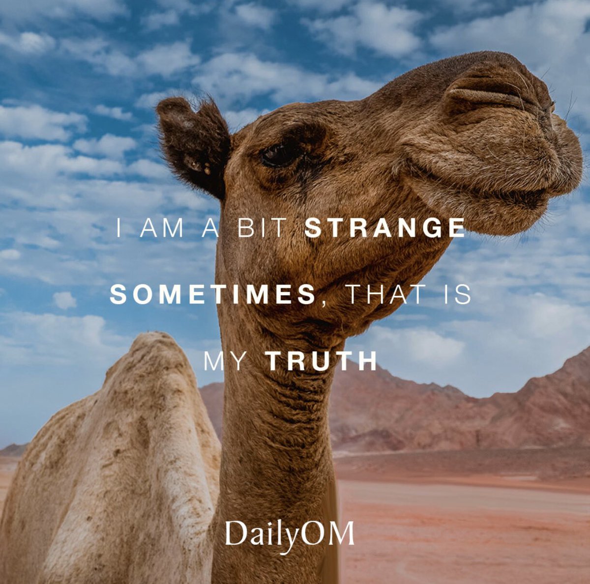 ArtByRuthM's tweet image. #HappyFriday 😘👩🏻‍🎨🎨 #imaworkinprogress 💖