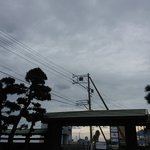 ツイートに含まれる画像