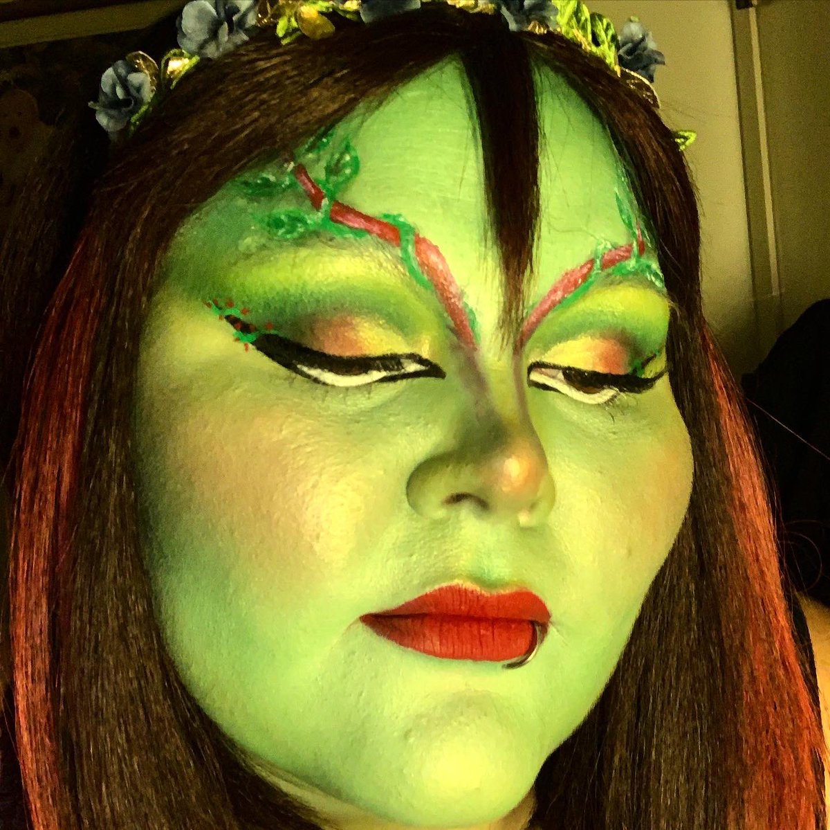 #eyelinerart #motd #makeupoftheday #poisonivy #batman #poisonivymakeup #halloweenmakeup #makeupartist #makeupaddict #makeuplook #glam #makeuplover #makeupjunkie #differentlighting #licensedcosmetologist #highlightandcontour #egirlpoisonivy #day10 of #31daysofhalloweenmakeup