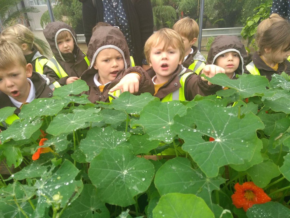 StHilarysEYFS's tweet photo. Great morning for @StHilarysSchool  YR children @RHSWisley despite the wet weather! https://t.co/SJKTco72k4