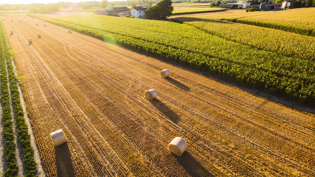 Often a rural property for sale looks too good to be true - buyers should always be aware of the possibility of an Agricultural Occupancy Condition, or agricultural tie. Our Real Estate Partner, Andrew Williamson, explains - bit.ly/2ozbRvl. 

#agriculture #ruralproperty