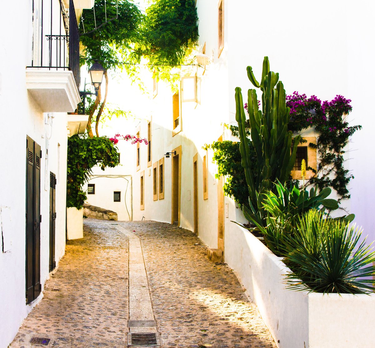 canbeiaibiza's tweet photo. Las #calles #empedradas de #daltvila con #casas #bajitas y #blancas #protegidas por las #murallas . Si vienes a #Ibiza no dejes de #pasear por allí! #auténticaibiza #callejuelas #disfruta #isla #patrimoniomundial #visita #eivissa #enjoy #ibiza2019 #fall #amazing #holiday #tourism https://t.co/CQfu7f0zTV