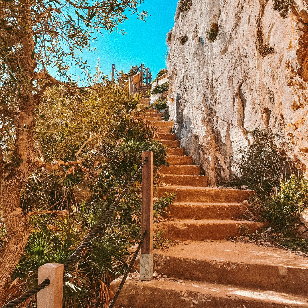 Ever experienced the Mediterranean Steps for yourself? The path runs mainly along the eastern side of the Rock, an area that is comprised primarily of cliffs and low Mediterranean scrub. Fair warning, this is not for the fainthearted or those scared of heights though.