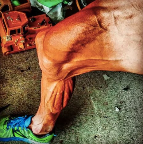 Paddy Power tweet media