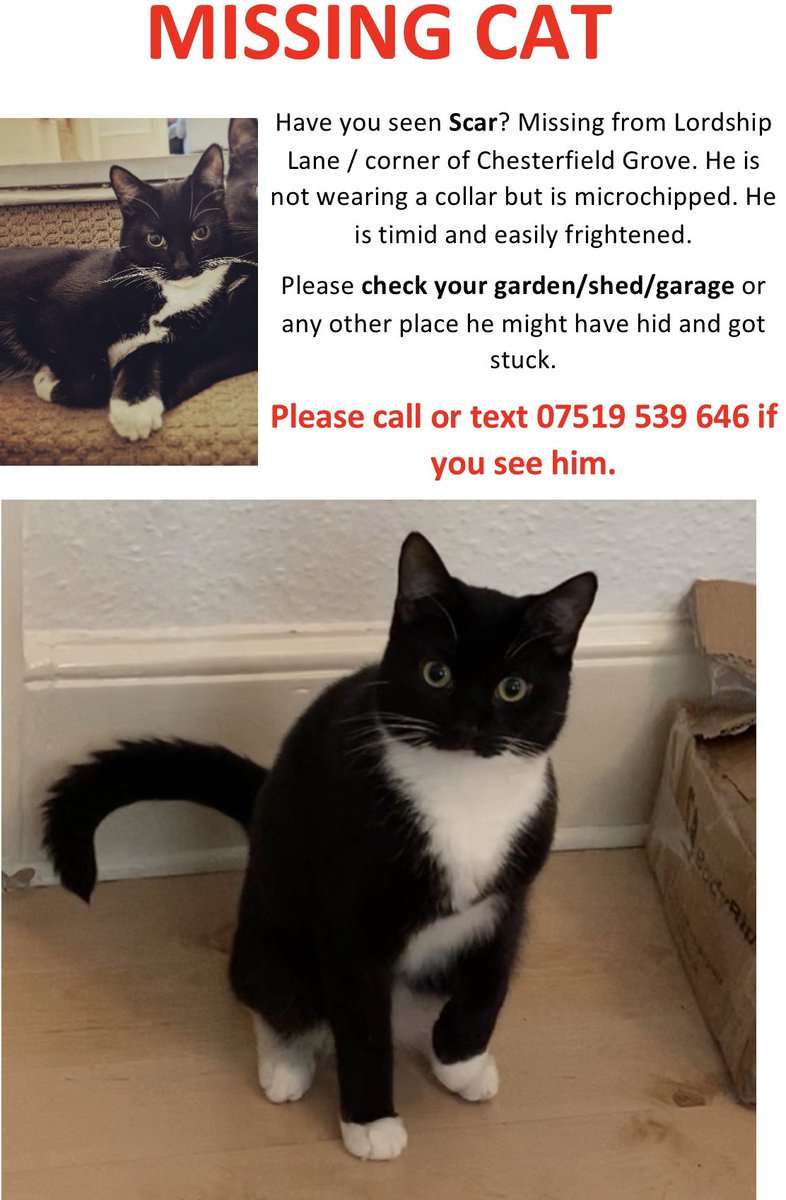 C A M I L L A tweet media