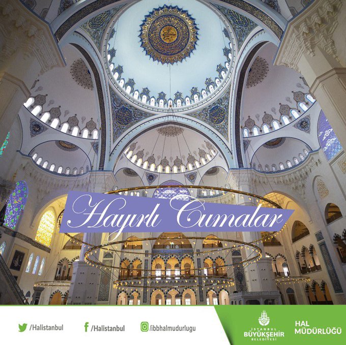 halistanbul halistanbul twitter