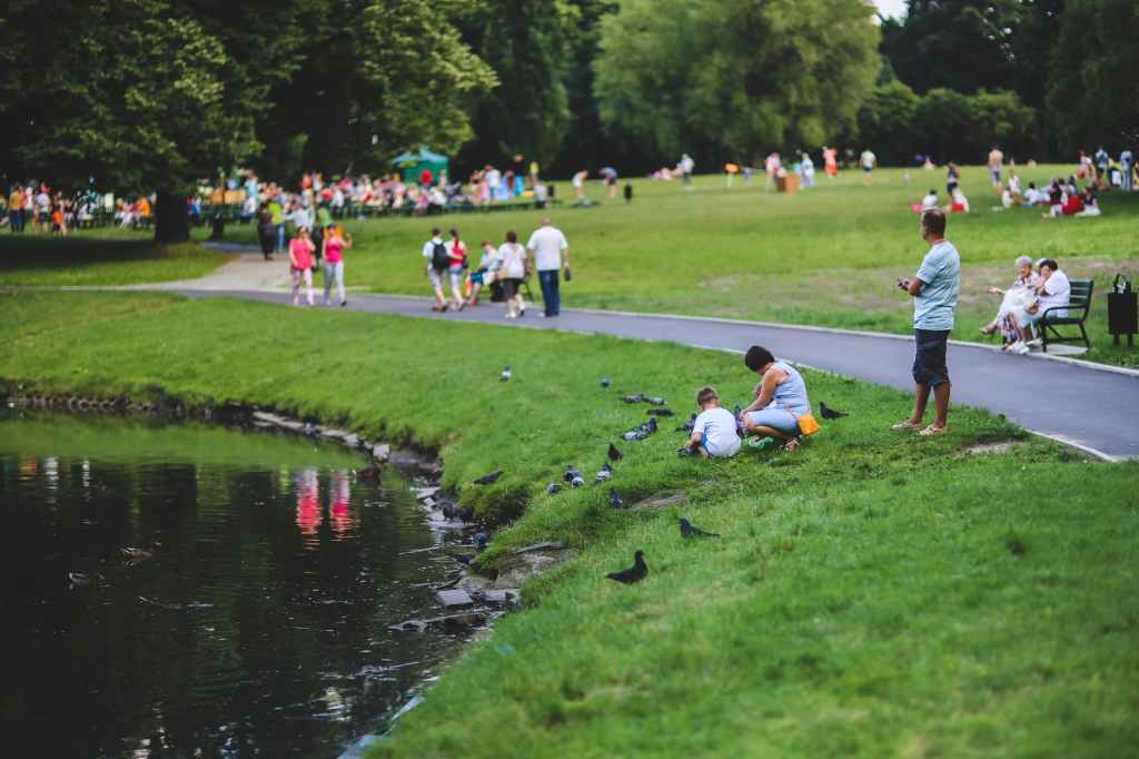 bundleofchaos_'s tweet photo. How to Encourage Your Child to Spend Time More Time Outdoors https://t.co/fgtiTCrI7s https://t.co/zNX2g9TQ5v