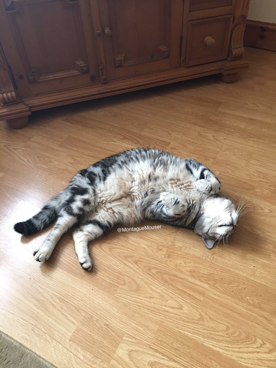 Montague Mouser tweet media