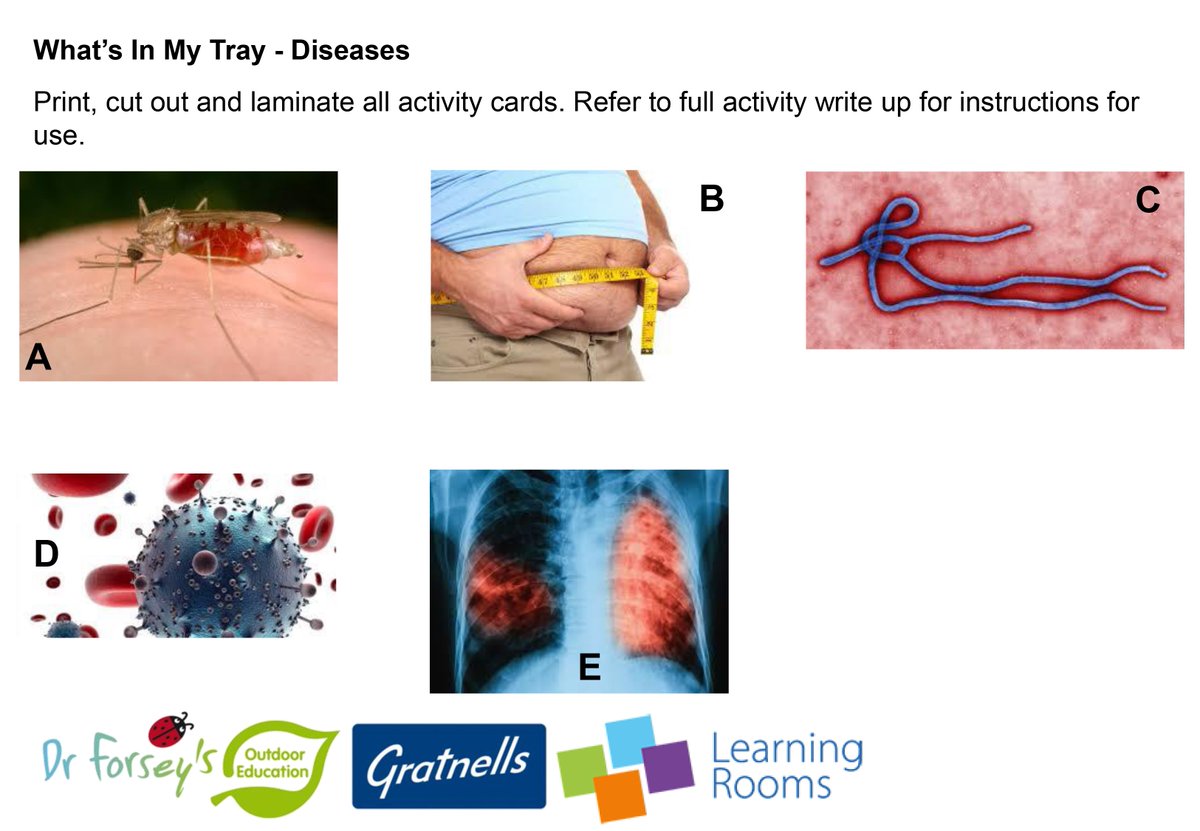 Gratnells's tweet photo. It's #BiologyWeek! 
Learn all about diseases and their pathways with these #biology #WhatsInMyTray activities created by @DrBiol for some of our #CPD carousels. 
https://t.co/t5foK2RS7M
https://t.co/IfcJxuyT6z
#BiologyWeek2019 #Diseases https://t.co/DpZs7LOtiT