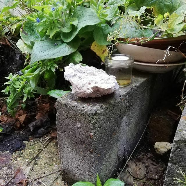 fatbergmusical's tweet photo. A small bit of #concreteberg in a writer's garden. This #fatbergfriday we address the other waste people pour down into the sewers. This concreteberg was enormous and took several weeks to dismantle.
We all (individuals, businesses etc) have a responsib… https://t.co/mLKHt6RIX6 https://t.co/fJ8oKgmV5Y