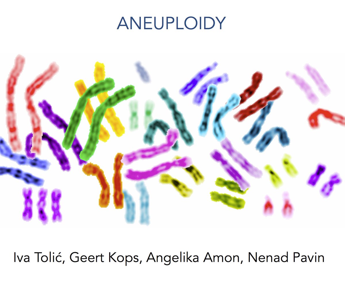 Toliclab's tweet image. We got an ERC SYNERGY grant #ERCSyG!! With @nenad_pavin @AngelikaAmon and Geert Kops. Huge thanks to our Synergy team, my lab, and ERC! Cannot wait to start this super exciting project! #EUfunded