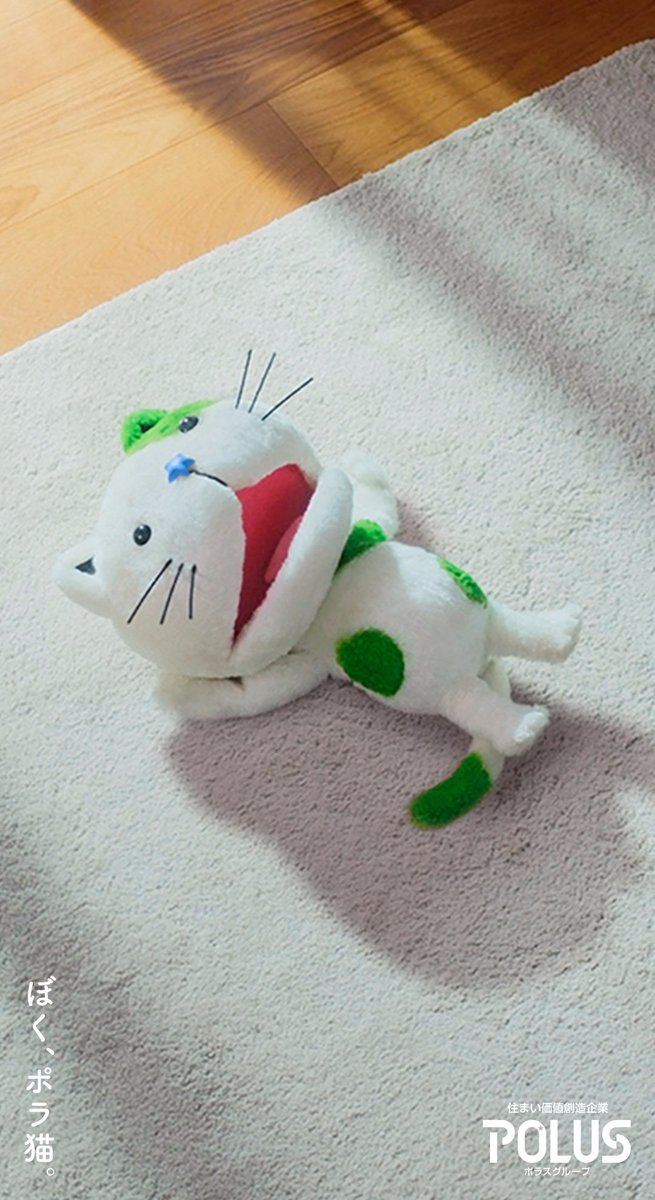 ポラ猫 ポラ猫