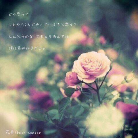 Back Number歌詞が好き Pa Twitter どう思う これから2人でやっていけると思う んんどうかな でもとりあえずは 僕は君が 好きだよ 花束 Backnumber Back Number歌詞が好き Pa Twitter どう思う これから2人でやっていけると思う んんどうかな でもとりあえずは 僕は君が 好きだよ 花束 Backnumber