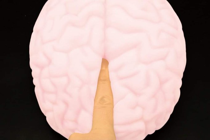 Maybe I should get this for Halloween 🤔 https://t.co/fj8IcMXeDs