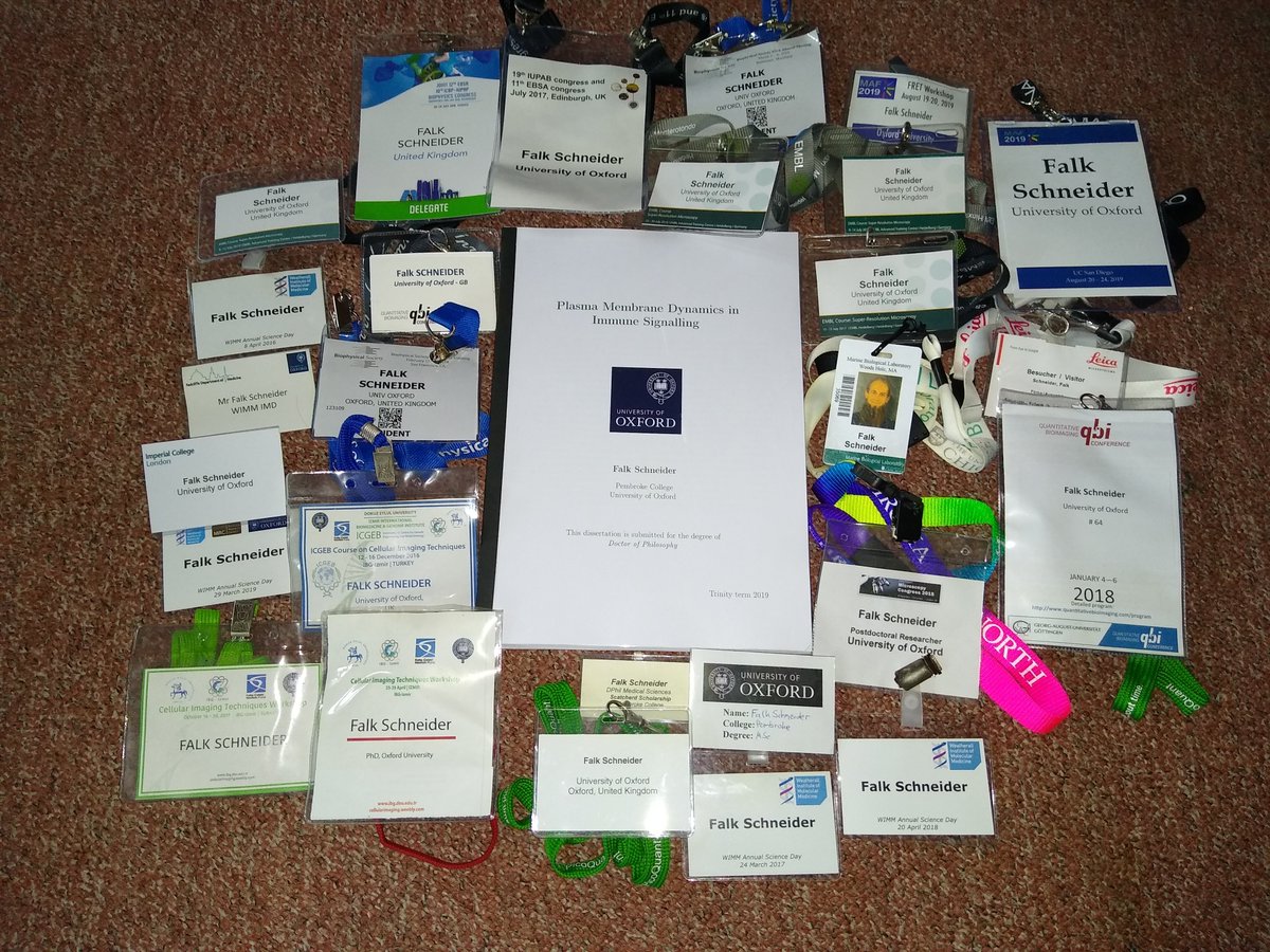 Falk Schneider tweet media