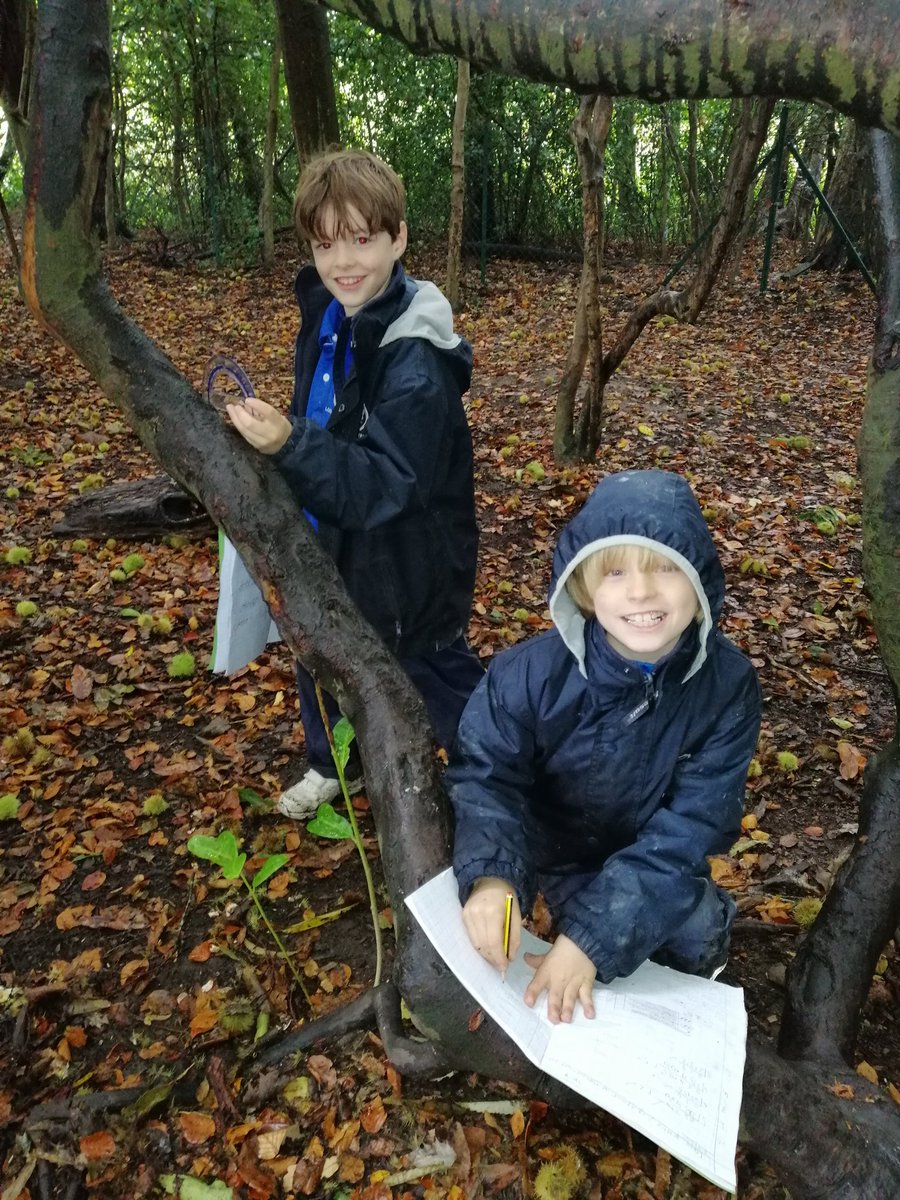 longacreschool's tweet photo. It's 'Empty Classroom Day' today for the Year 5 children and a little bit of rain is not going to stop us. This morning the children have been searching for different types of angles in nature during their maths lesson. #emptyclassroomday #outdoorlearning #maths
#LongacreLife https://t.co/Z6CFfkPfow