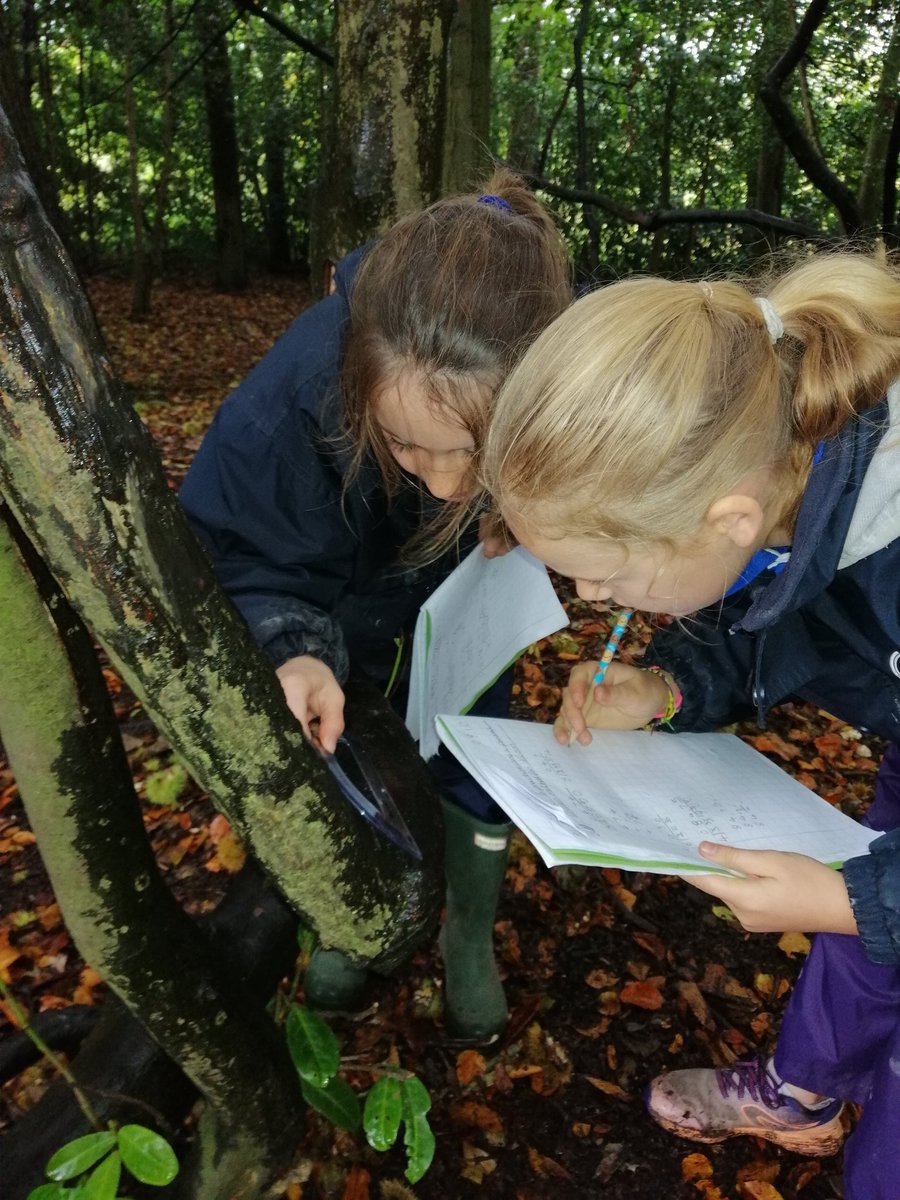 longacreschool's tweet photo. It's 'Empty Classroom Day' today for the Year 5 children and a little bit of rain is not going to stop us. This morning the children have been searching for different types of angles in nature during their maths lesson. #emptyclassroomday #outdoorlearning #maths
#LongacreLife https://t.co/Z6CFfkPfow