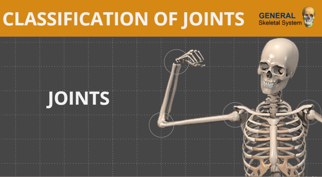 wisc-online.com has thousands of free learning objects and games!