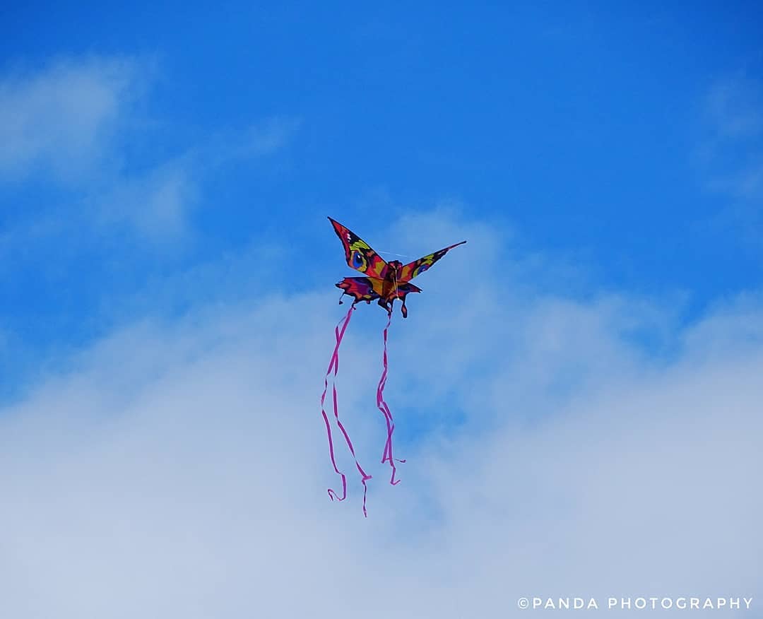 flyxkites's tweet photo. #TGIF 💞 Time to get the #weekend started! Is anyone planning on #flyingkites? 💞 Photo Credit: @c_spec22 🙌 

#xkites #flyxkites #windnsun #butterfly #butterflies #butterflykite #kites #kite #toys #childrenstoys #interactivetoys #educationaltoys #children #parenting #friday https://t.co/aUaTodKONU
