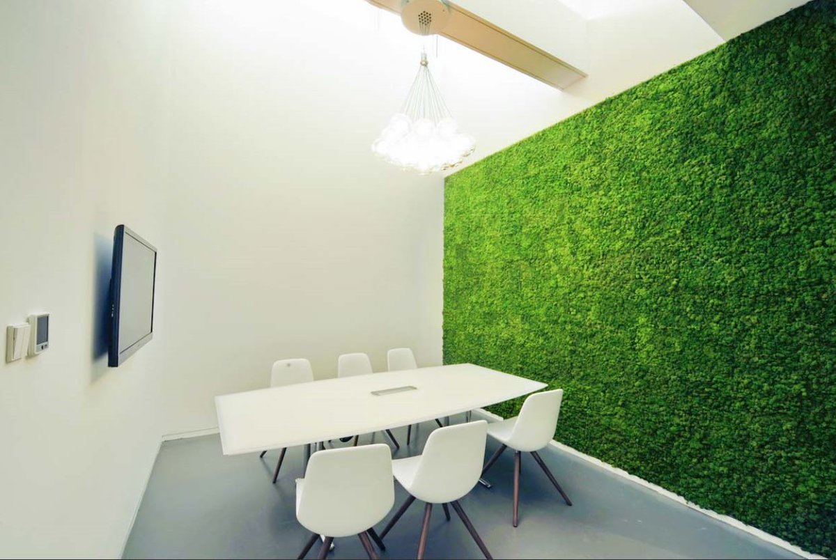We've had a few enquiries about 'living' walls for the workspace 🌱 don't these look great 😍 
#livingwall #greenworkspace #officedesign #interiordesign