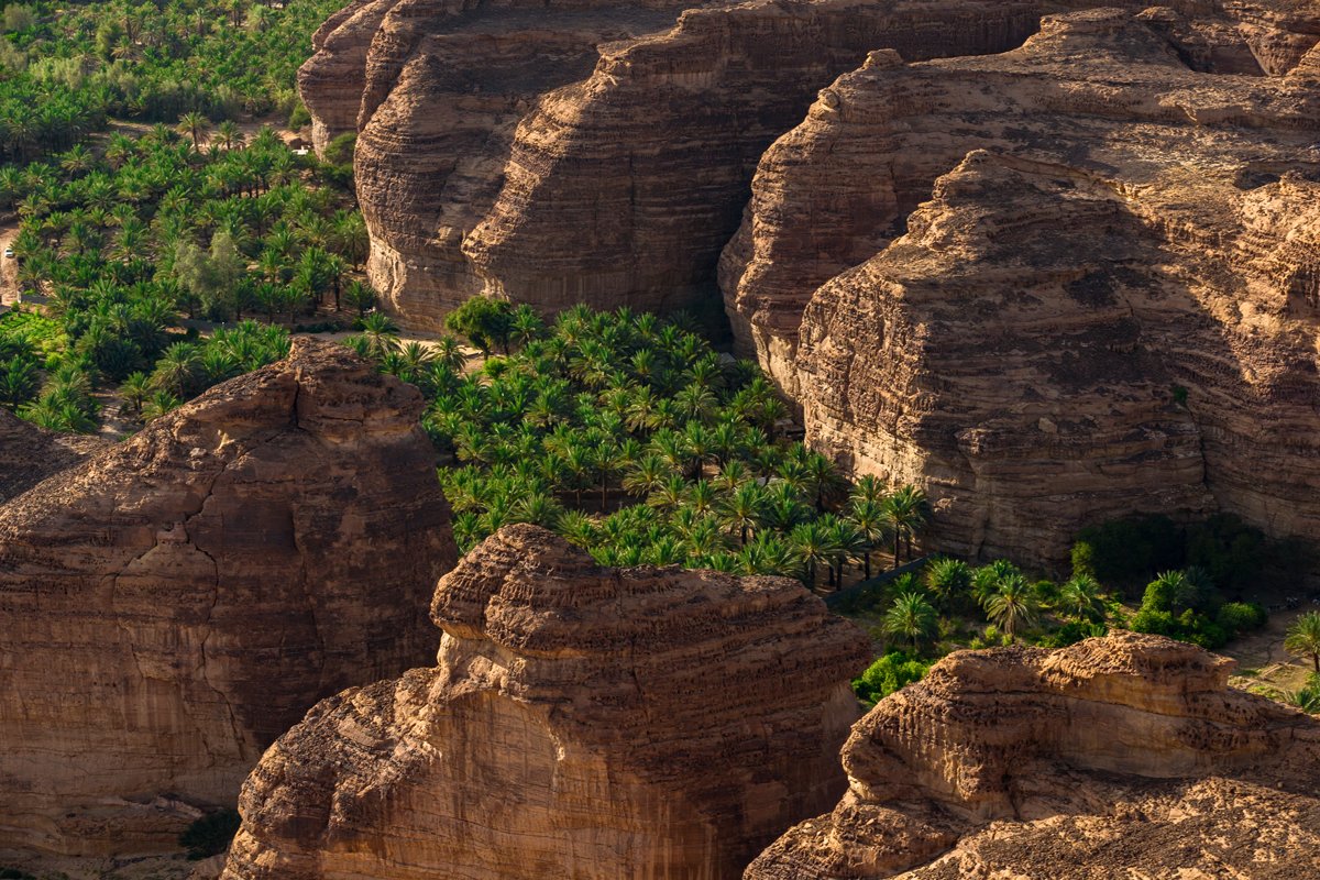 Ce week-end, partez à la découverte d'#AlUla, cette fabuleuse région aux 7000 ans d'histoire.
"AlUla, merveille d'Arabie", une exposition-événement à découvrir dès maintenant à l'IMA, en partenariat avec <a href="/RCU_SA/">الهيئة الملكية لمحافظة العلا</a> 
►Infos: bit.ly/ExpoAlula
📸 <a href="/Yann_A_B/">Yann Arthus-Bertrand</a>