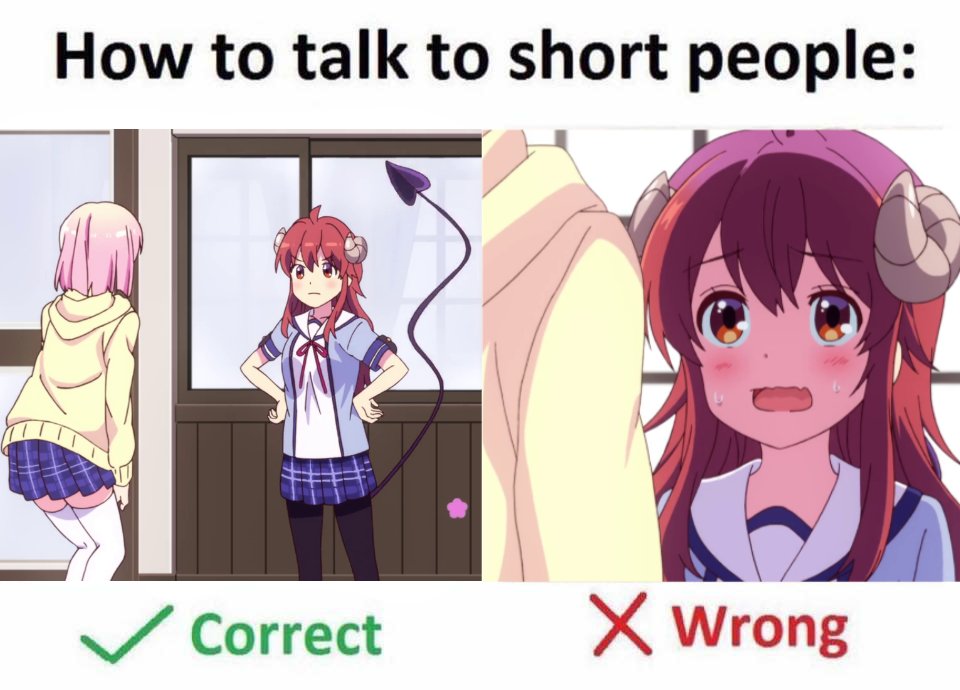 r/animemes on Twitter: r/animemes on Twitter: