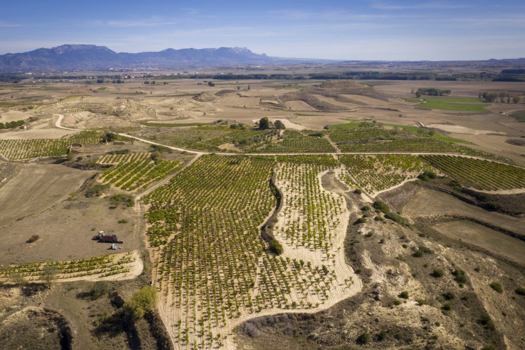 TaboadaWine's tweet photo. Stunning drone takes of @BodegasTaron vineyard "El Monte" in #RiojaAlta. Planted in Cuzcurrita de Río Tirón in 1915 in a small plateau at 600 m. 
@EllisWines @RichmondWineAg1 https://t.co/feFXqvLy7j https://t.co/XxGiuH6JWm