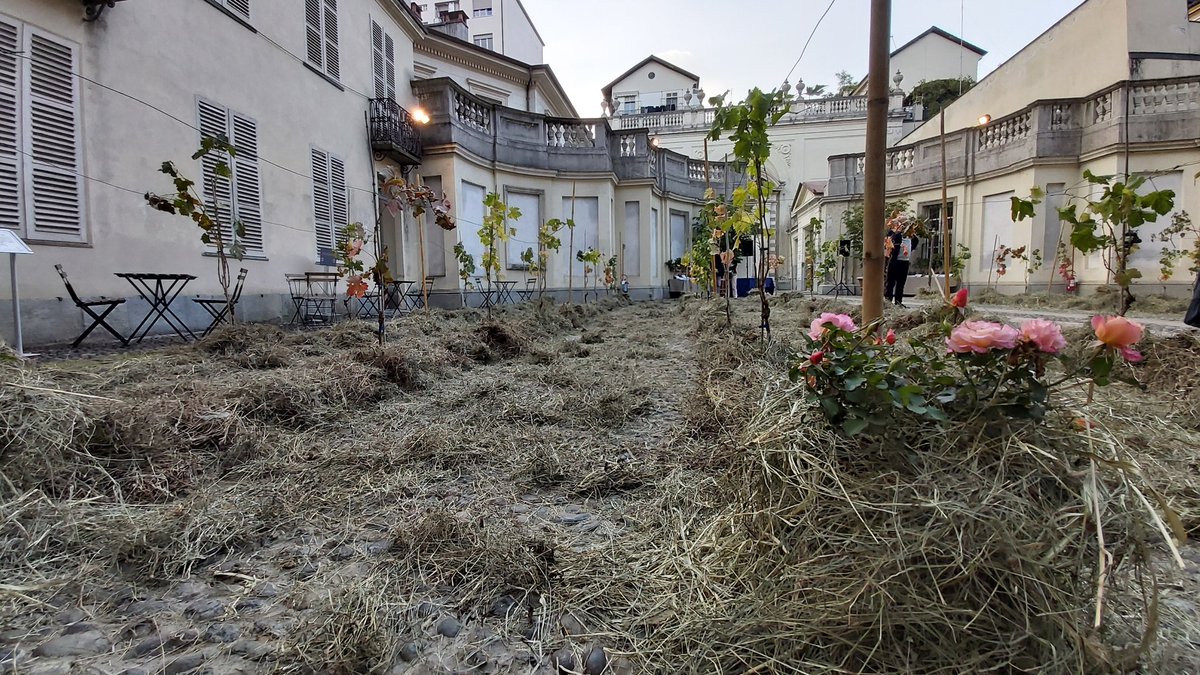 Camera Commercio TO tweet media