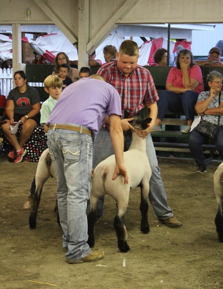 FFAcrestview's tweet photo. #2019FairHighlight Ethan Greulach! He is a recent graduate of the Crestview FFA, and is our final fair highlight. Ethan exhibited to market lambs this year at the fair. He ended winning his class 2, and was second in his class 4. Ethan was also second overall sheep showman! https://t.co/ndQ47yvY2L