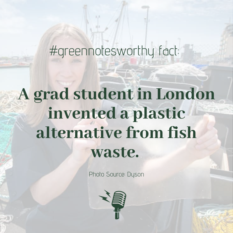 From <a href="/guardiannews/">Guardian news</a>: So fascinating! Lucy Hughes created this material, MarinaTex, which looks and feels like #plastic but might actually be stronger. Unlike other plastics, this material can be disposed of as food waste! Could this be a gamechanger?