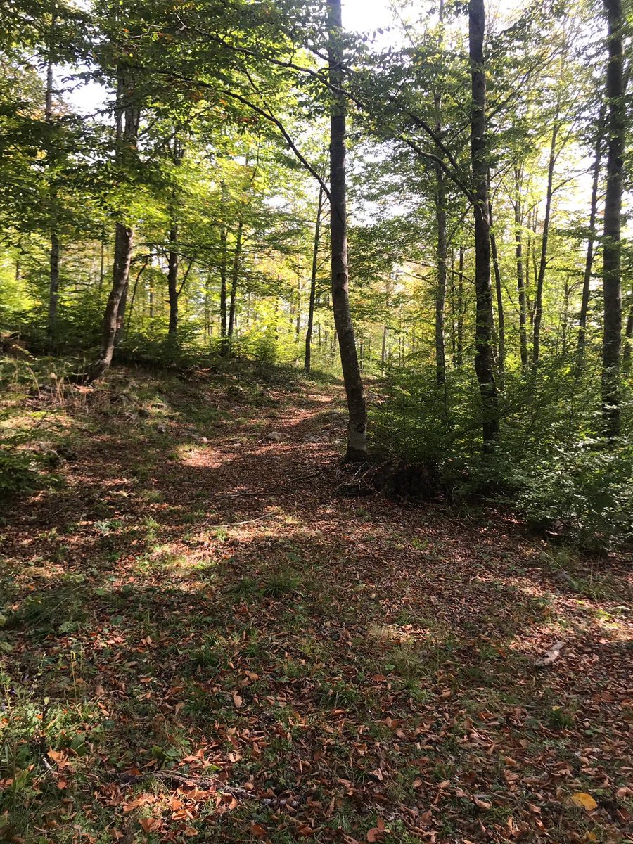 OrmanBoyabat's tweet photo. Ya bir yol açacaksın ya da bir yol bulacaksın; dağ taş dere tepe demeden Anadolu yollarında.
#forestengineers #ForestAndHealth #Forestry #sürdürülebilirormanyönetimi https://t.co/7epkoD67MR