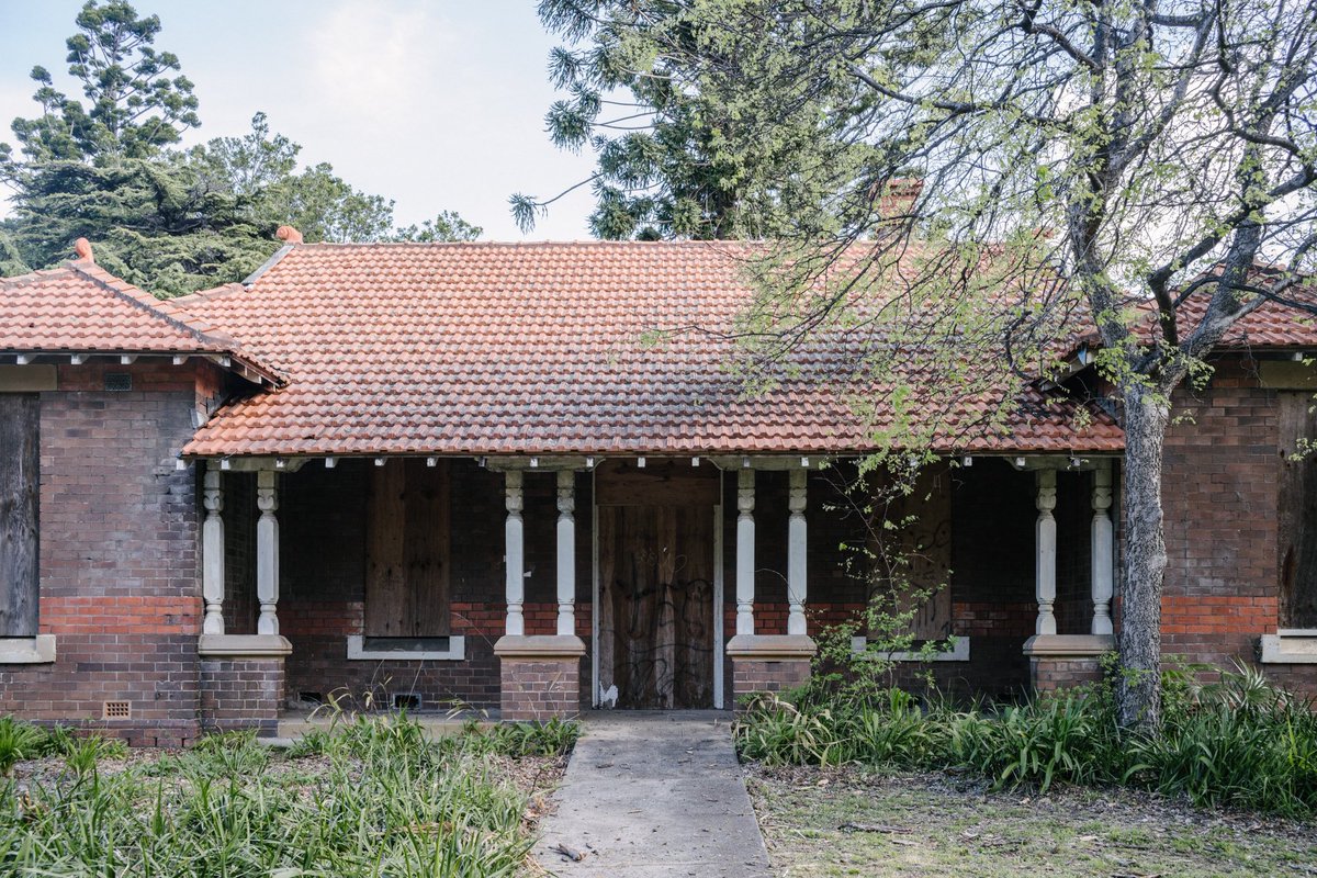 Daniel Regan tweet media