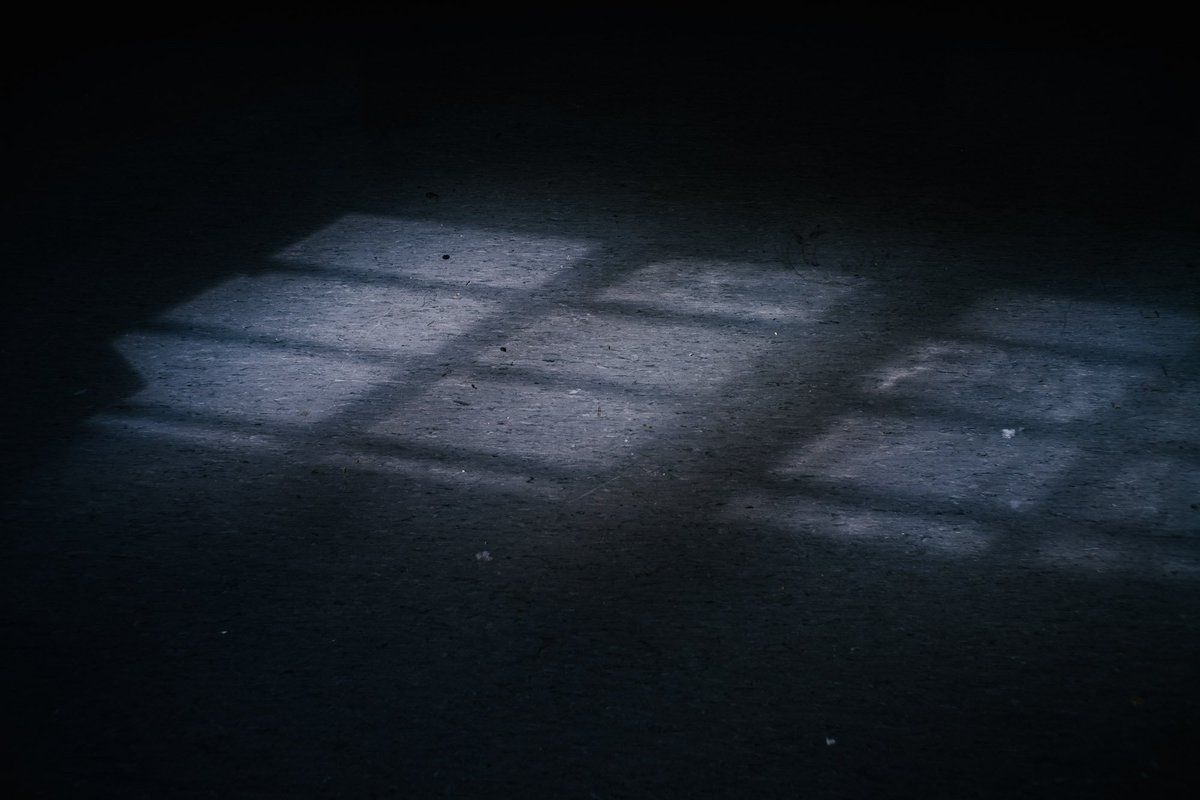 Daniel Regan tweet media