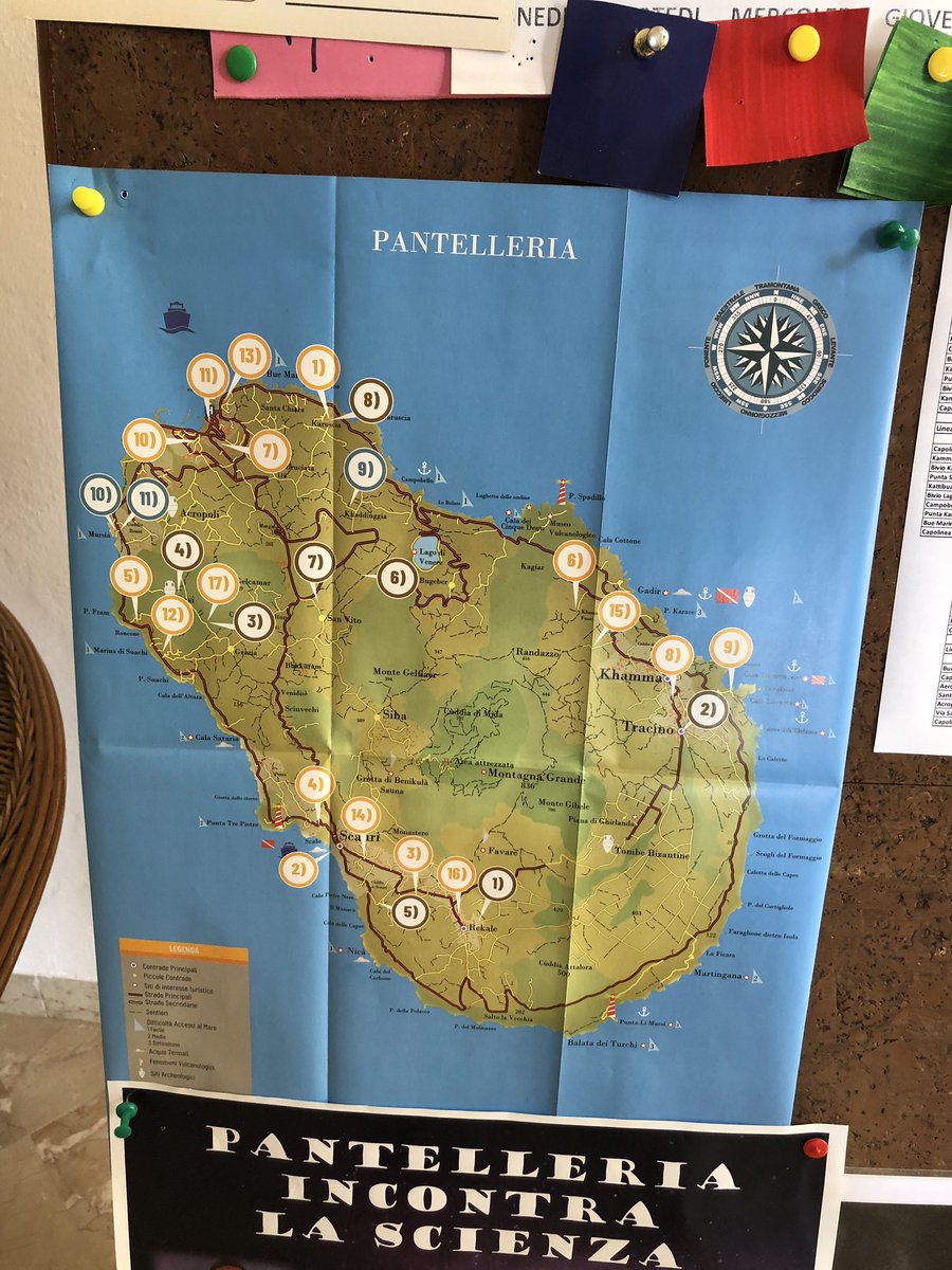 pinciene's tweet photo. I love Panterellia https://t.co/6EeNDZZUOS