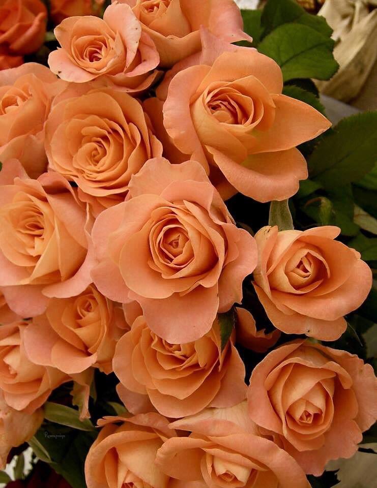 🌺 CATHY 🌺 (@cathhewat123) on Twitter photo <a href="/khanhakim_k/">Abdul Hakim Khan</a> <a href="/Marieaaow/">Dr.M.A.A.O.W.</a> @SUDEBBI88994521 <a href="/Guyatt671/">Nightman......</a> <a href="/DasRozania/">Rozania 💕🕊💕🕊💕🕊</a> <a href="/DerekPa56710094/">Derek Paterson</a> <a href="/marinavibu609g/">🌻MARINA🌻</a> <a href="/GreteLykke/">Anne-Grete Lykke</a> <a href="/YUcuoDydRuZKyT3/">💝 उदय भानु सिंह 💝</a> <a href="/SUPERGOCHOo/">CÉSAR MOLINACH</a> <a href="/1hTkMJaMalfwQZS/">前田十九一</a> <a href="/Jilliemary/">Jillian Peeling</a> <a href="/Gnanase34995362/">Gnanasekar</a> <a href="/FRISEEMYRIAM/">FRISEE MYRIAM</a> <a href="/mirtaimperatori/">Mirta Imperatori</a> <a href="/heroldbarton/">herold barton</a> <a href="/PattiBrookd/">Patti Brookd</a> @8lCqYkLdjmASN3L @CNavinder <a href="/ViktorMochalin/">mochalin viktor</a> <a href="/BabyGo2014/">Baby Go</a> <a href="/linari_luca/">FORZA BULLDOG BASKET</a> <a href="/MistressTepco/">꧁スカーレット緋色꧂36K🦩</a> <a href="/RasnawatiR/">Rasnawati R 🇮🇩</a> <a href="/Wear39675225/">Wear</a> <a href="/stradagangelica/">🇧🇷Angelica Gallegos S 🇧🇷</a> <a href="/ZEYNAZERDA/">ZEYNEB MELİSSA</a> <a href="/c9kHzyNN6hr05XK/">RK LATHIYA</a> <a href="/AnatCastle/">Atatoly Сastle</a> <a href="/JettyMustika1/">Jetty Mustika</a> @LudMarx1 <a href="/2020sahara/">Tm_Maya Ⓜ️ #EasyGain 🌊</a> <a href="/Abrazos4u/">Abrazos 👑 #EasyGain</a> <a href="/Lunarteddy/">Lunarteddy</a> <a href="/robtropper/">Robert Tropper</a> <a href="/AintitMarvelous/">#BloodyMarvellous :)</a> <a href="/perryd43/">perryd43</a> <a href="/mkolean3/">Michael D Kol ✨</a> <a href="/pelisoro/">Baba Je🦅🧙♀️🌌😎</a> <a href="/srone82/">♥ 🏋️ 💪MIGUEL 💪 ♥</a> <a href="/Valentina112235/">Валентина</a> <a href="/malucadua/">Maria Luisa Cantó</a> <a href="/marycastro54/">Mary_Sol. ❤️🌹</a> <a href="/memva/">luna llena</a> @bovb51 Have a great Weekend too my Friend <a href="/khanhakim_k/">Abdul Hakim Khan</a> 🌹🌹...Friends 🌹🌹 <a href="/khanhakim_k/">Abdul Hakim Khan</a> <a href="/Marieaaow/">Dr.M.A.A.O.W.</a> @SUDEBBI88994521 <a href="/Guyatt671/">Nightman......</a> <a href="/DasRozania/">Rozania 💕🕊💕🕊💕🕊</a> <a href="/DerekPa56710094/">Derek Paterson</a> <a href="/marinavibu609g/">🌻MARINA🌻</a> <a href="/GreteLykke/">Anne-Grete Lykke</a> <a href="/YUcuoDydRuZKyT3/">💝 उदय भानु सिंह 💝</a> <a href="/SUPERGOCHOo/">CÉSAR MOLINACH</a> <a href="/1hTkMJaMalfwQZS/">前田十九一</a> <a href="/Jilliemary/">Jillian Peeling</a> <a href="/Gnanase34995362/">Gnanasekar</a> <a href="/FRISEEMYRIAM/">FRISEE MYRIAM</a> <a href="/mirtaimperatori/">Mirta Imperatori</a> <a href="/heroldbarton/">herold barton</a> <a href="/PattiBrookd/">Patti Brookd</a> @8lCqYkLdjmASN3L @CNavinder <a href="/ViktorMochalin/">mochalin viktor</a> <a href="/BabyGo2014/">Baby Go</a> <a href="/linari_luca/">FORZA BULLDOG BASKET</a> <a href="/MistressTepco/">꧁スカーレット緋色꧂36K🦩</a> <a href="/RasnawatiR/">Rasnawati R 🇮🇩</a> <a href="/Wear39675225/">Wear</a> <a href="/stradagangelica/">🇧🇷Angelica Gallegos S 🇧🇷</a> <a href="/ZEYNAZERDA/">ZEYNEB MELİSSA</a> <a href="/c9kHzyNN6hr05XK/">RK LATHIYA</a> <a href="/AnatCastle/">Atatoly Сastle</a> <a href="/JettyMustika1/">Jetty Mustika</a> @LudMarx1 <a href="/2020sahara/">Tm_Maya Ⓜ️ #EasyGain 🌊</a> <a href="/Abrazos4u/">Abrazos 👑 #EasyGain</a> <a href="/Lunarteddy/">Lunarteddy</a> <a href="/robtropper/">Robert Tropper</a> <a href="/AintitMarvelous/">#BloodyMarvellous :)</a> <a href="/perryd43/">perryd43</a> <a href="/mkolean3/">Michael D Kol ✨</a> <a href="/pelisoro/">Baba Je🦅🧙♀️🌌😎</a> <a href="/srone82/">♥ 🏋️ 💪MIGUEL 💪 ♥</a> <a href="/Valentina112235/">Валентина</a> <a href="/malucadua/">Maria Luisa Cantó</a> <a href="/marycastro54/">Mary_Sol. ❤️🌹</a> <a href="/memva/">luna llena</a> @bovb51 Have a great Weekend too my Friend <a href="/khanhakim_k/">Abdul Hakim Khan</a> 🌹🌹...Friends 🌹🌹