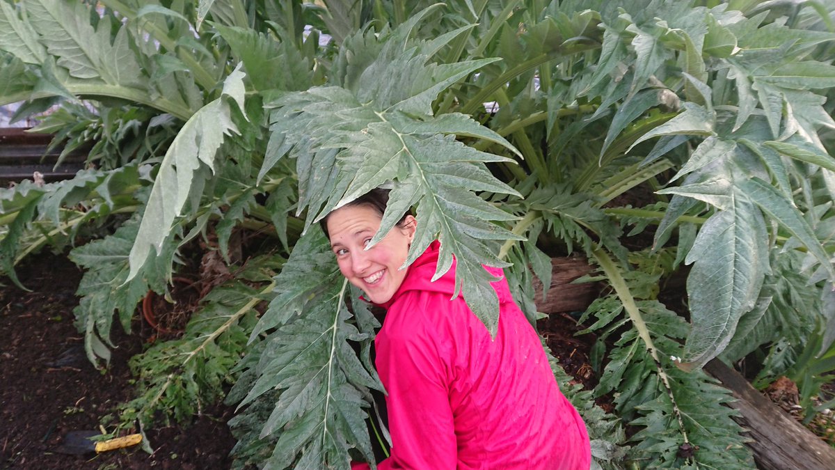 GoodGym Colchester tweet media