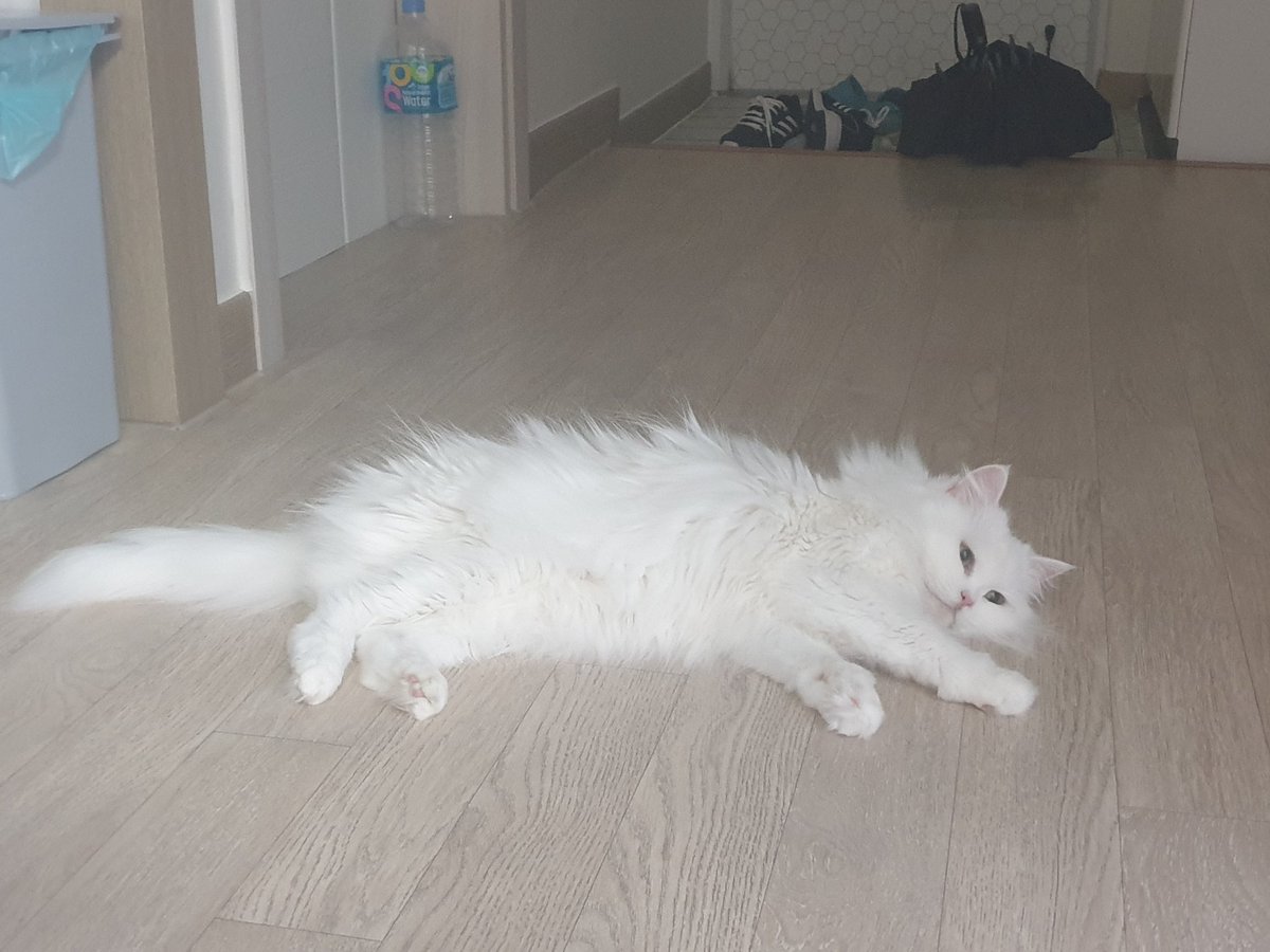 바닥이 따끈따끈