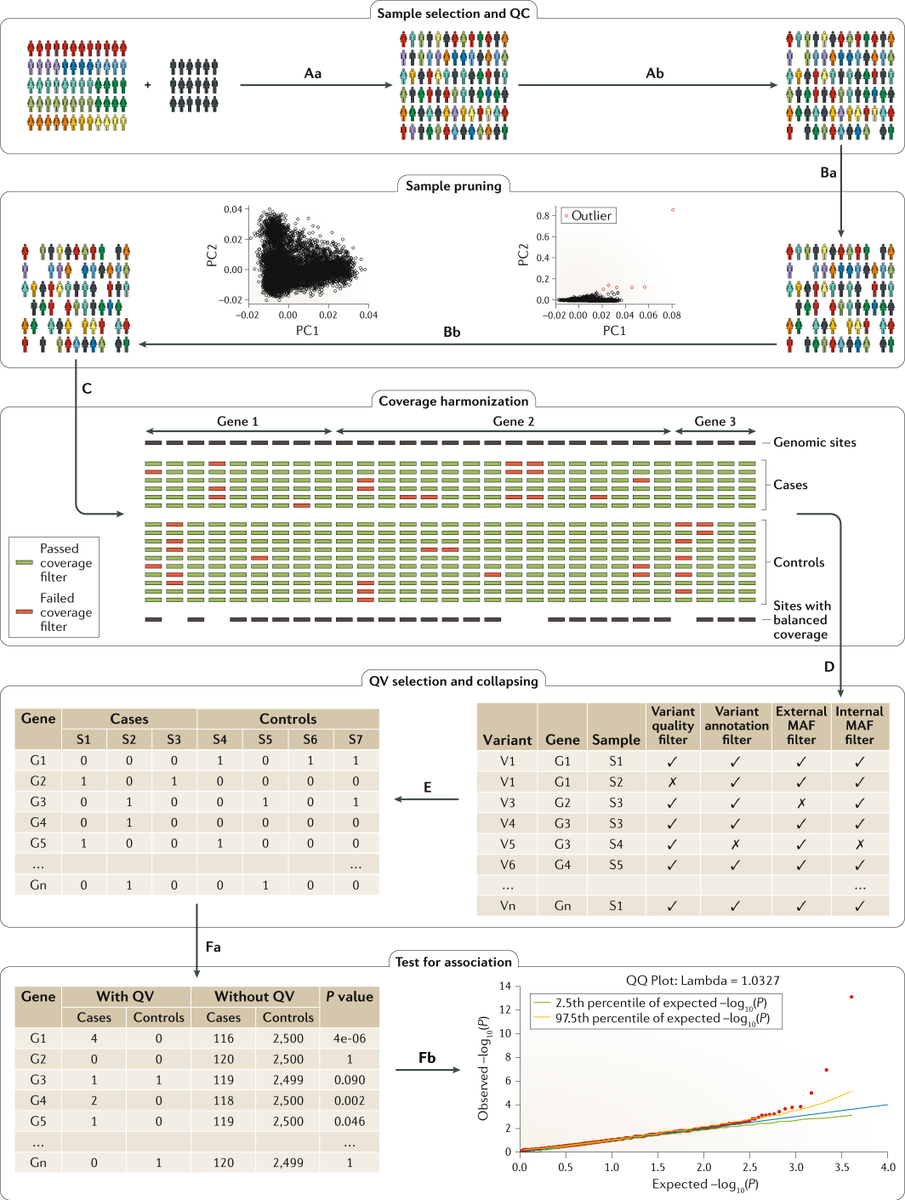 NatureRevGenet's tweet photo. Rare-variant collapsing analyses for complex traits: guidelines and applications https://t.co/04814erTSL #Review by Gundula Povysil, Slavé Petrovski, Joseph Hostyk, Vimla Aggarwal, Andrew S. Allen &amp; David B. Goldstein @ColumbiaMed https://t.co/ZkB34vjvKE