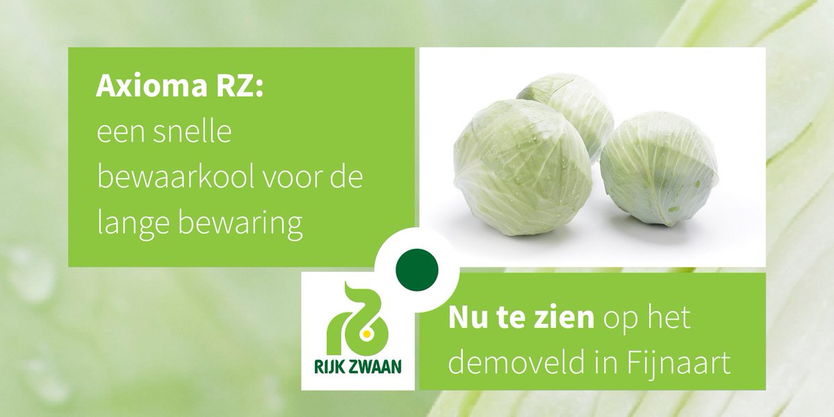 #sharingahealthyfuture #innovatie #nieuw #sluitkool #demofijnaart
 rijkzwaan.nl/demodagen-fijn…