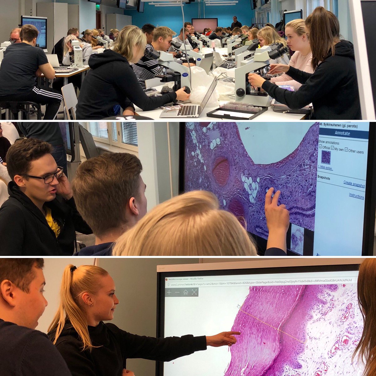 PasonenSanna's tweet photo. Opetusta perinteisesti #valomikroskopia #opettajapuhuu ja nykyaikaisesti #virtuaamikroskopia #webmicroscope #yhdessäoppiminen #histologia #solubiologia @UniEastFinland https://t.co/R7X1tvp4Si