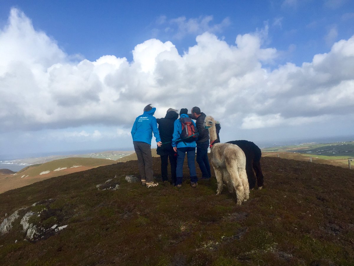 BrendaKingFI's tweet photo. Lots of fun today for our German Press on our @wildalpacaway walk on #Malinhead #FivefingerStrand @wildatlanticway @Failte_Ireland #LoveDonegal ☘️🇮🇪🇩🇪 https://t.co/ahOn45dofB
