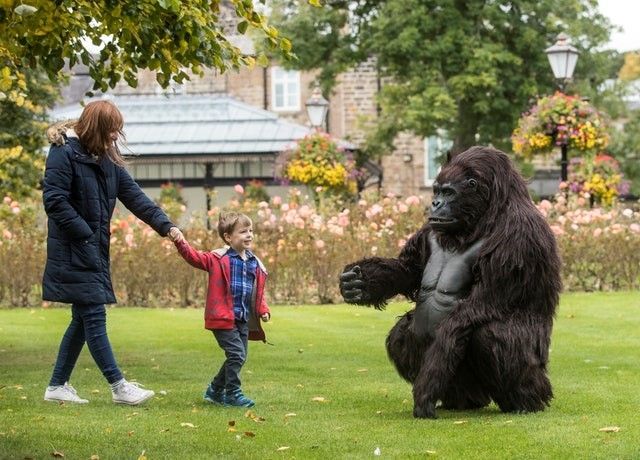 WildSafariShow's tweet photo. 1 day to go, see you tomorrow. Don’t miss it! The show is packed with features and inspirational talks.
Younger visitors, make sure to get there early to say hello to Rushenya, the full-size animatronic Mountain Gorilla!
Visit >> https://t.co/P5FEIBgLDT
#WSTS19 #Willdife https://t.co/3YX8R07SYe